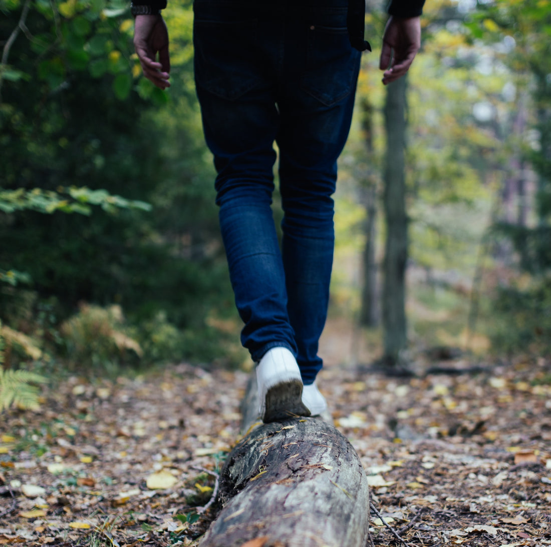 CBD and the Endocannabinoid System