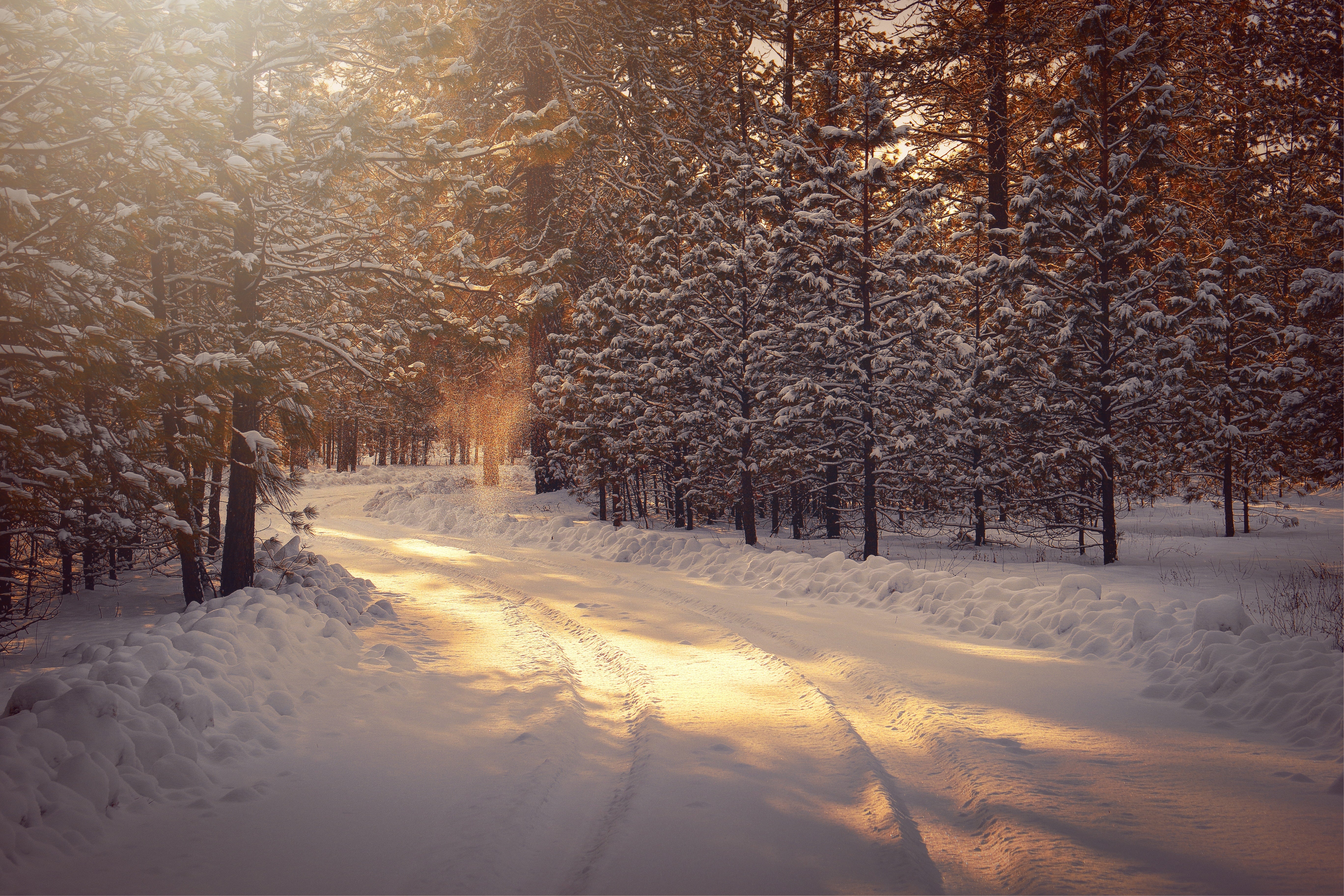 Embracing Winter Wellness: 4 Tips to Conquer the Cold – Rest Day