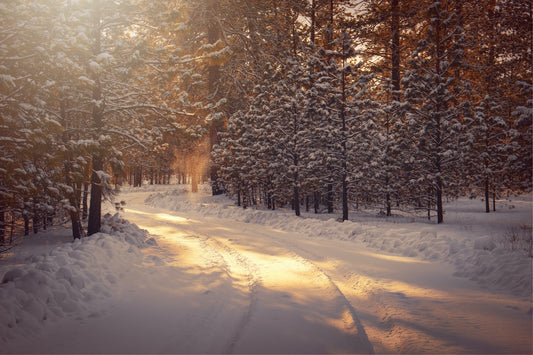 Embracing Winter Wellness: 4 Tips to Conquer the Cold